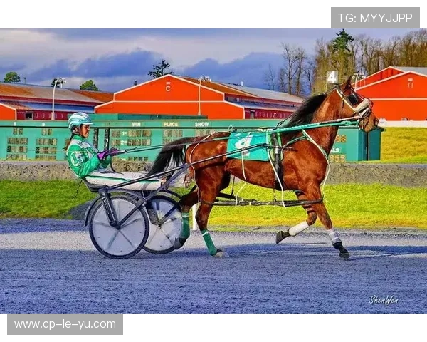 伊朗马术协会推出马匹健康管理系统，提升马匹福利。，伊朗 马赛克