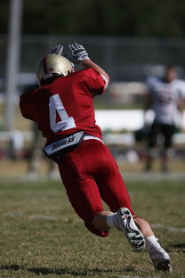 leyu乐鱼在线登录入口-中超球队传球链路密集度评分系统