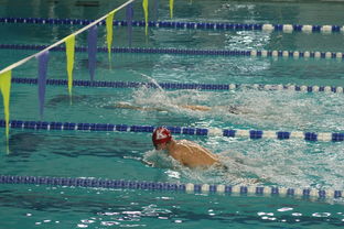 leyu平台-全国青少年游泳锦标赛青春风采尽展，全国青少年游泳比赛成绩