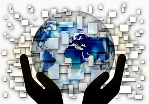 全国电子竞技公开赛上海收官，全国电子竞技大赛官网2020